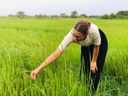 487566156 1247379313466792 8344041372503311857 n