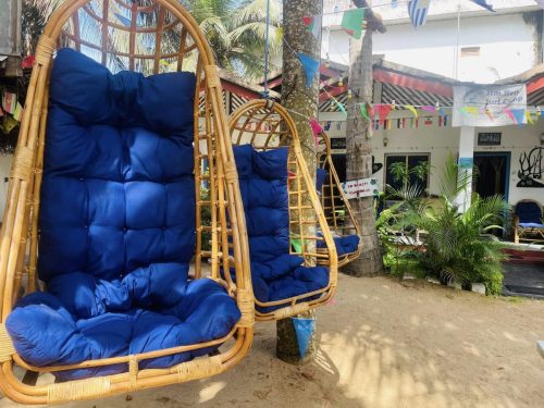 494989940_1276657383872318_6986072942270529470_n